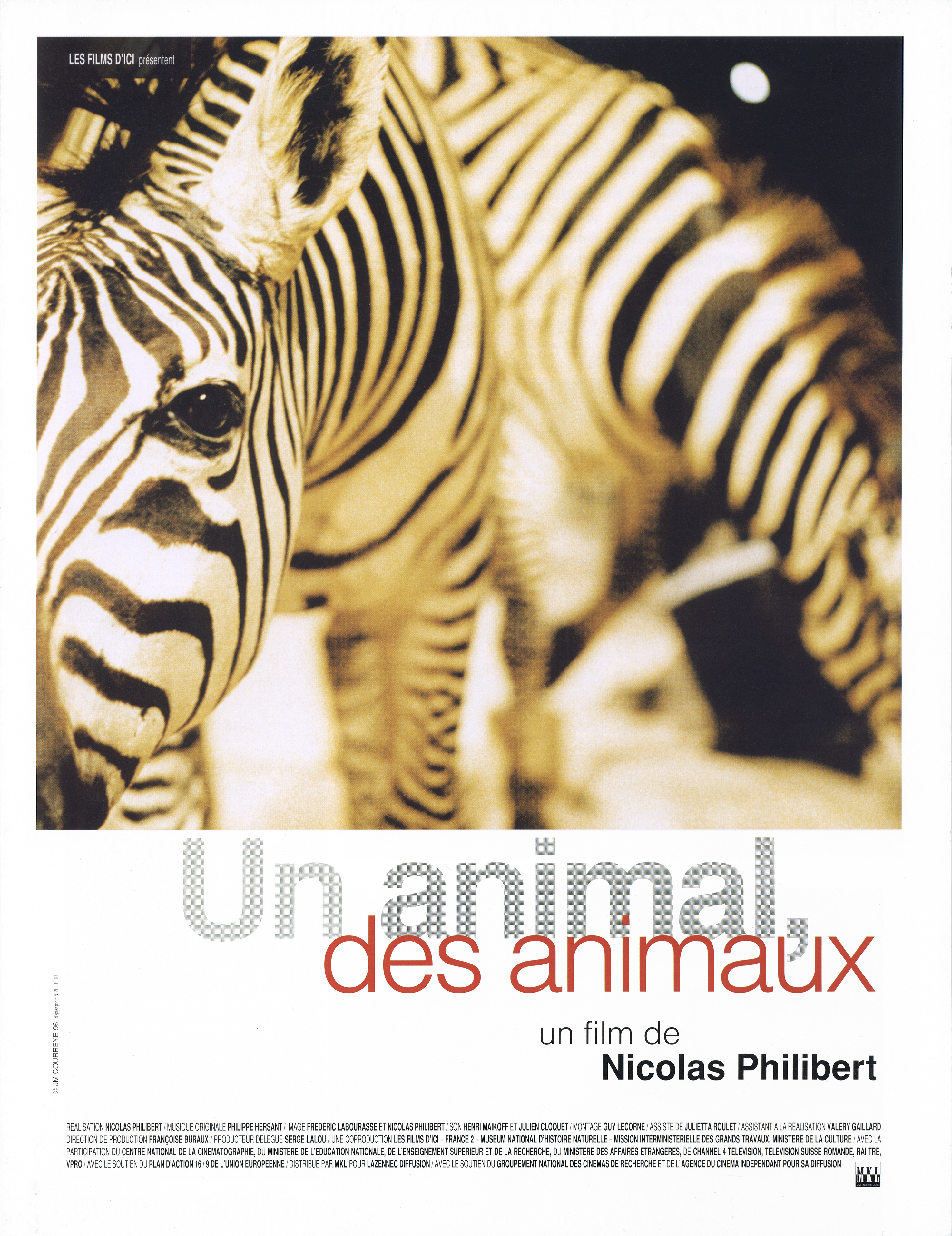 Un Animal Des Animaux
