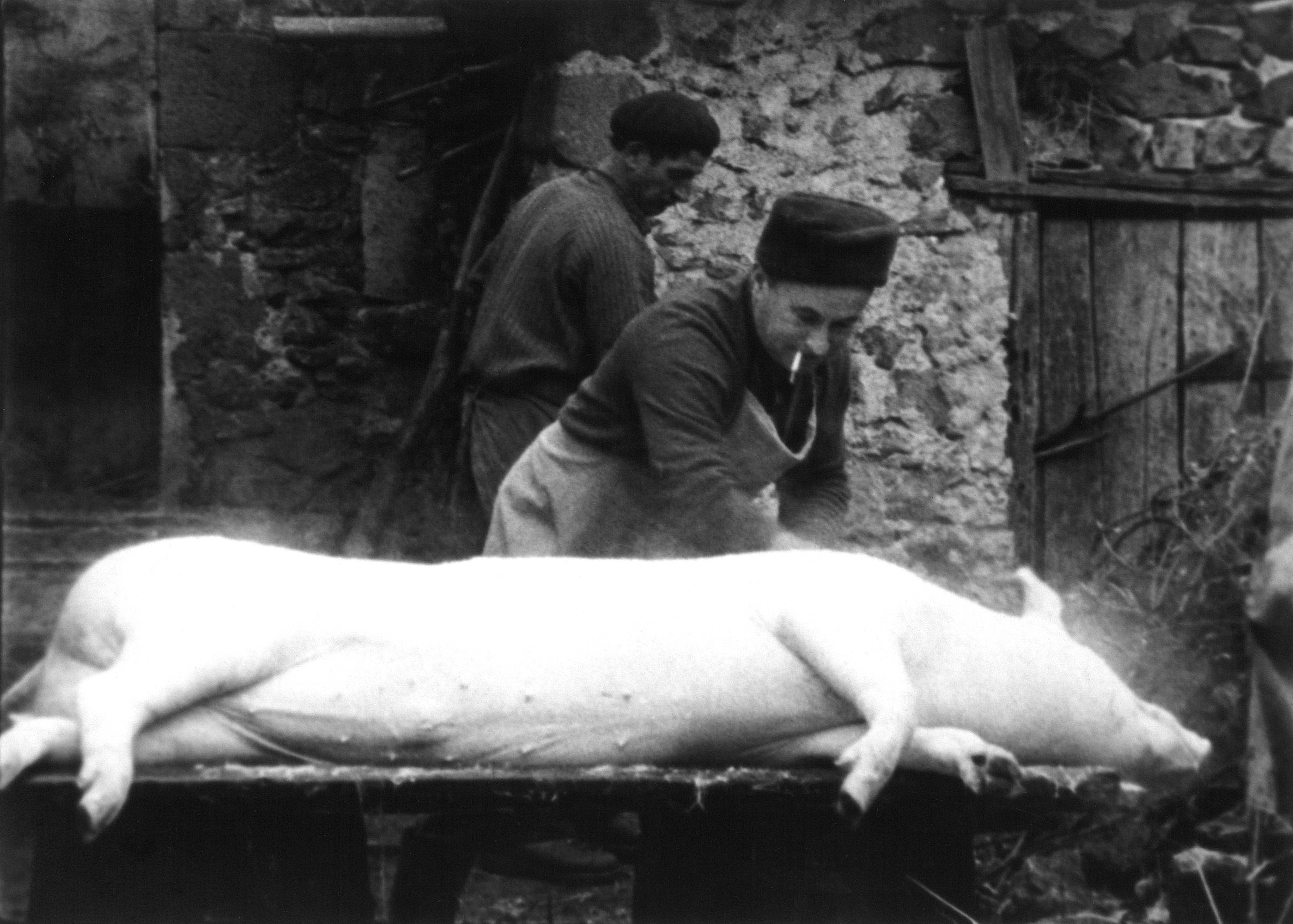 Le Cochon