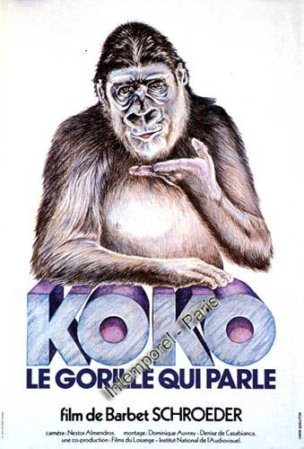 Koko Le Gorille Qui Parle