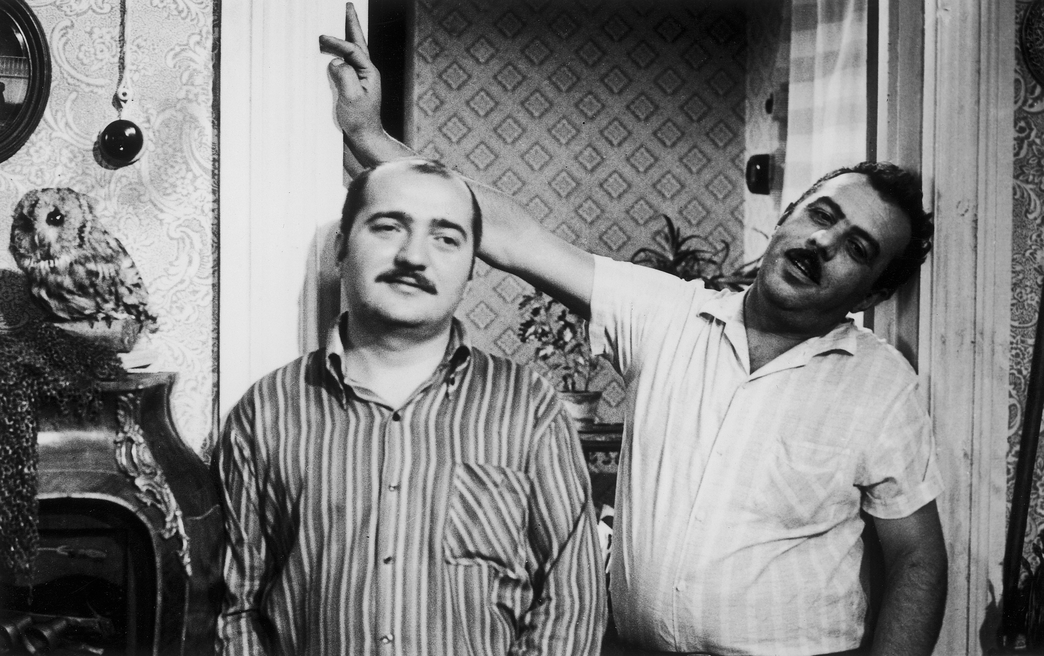 Il était une fois un merle chanteur