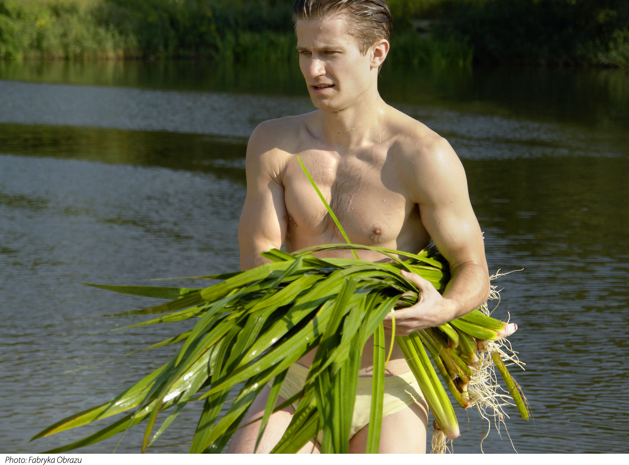 Tatarak