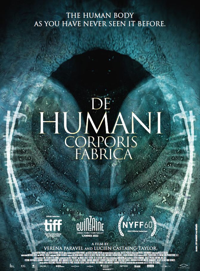 De humani corporis fabrica